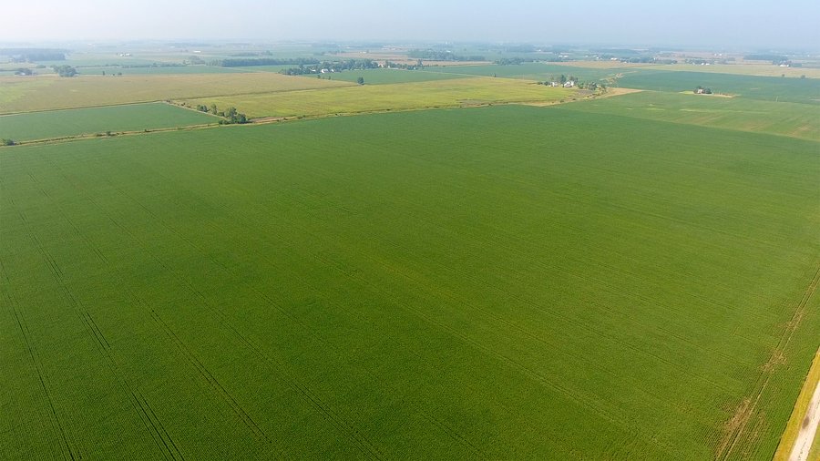 LAND AUCTION - 359+/- ACRES IN 2 FARMS IN EAST ALLEN CO., INDIANA & PAULDING CO., OHIO